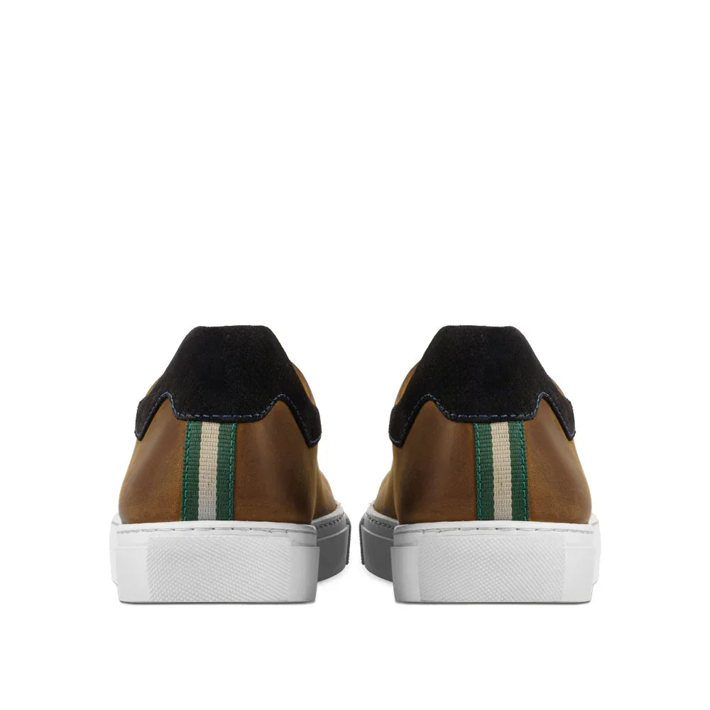 Rear view of brown leather sneakers with white soles, green and white striped heel detail